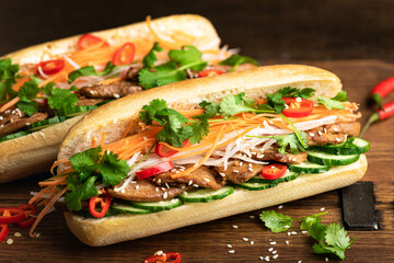 A Banh Mi Sandwich